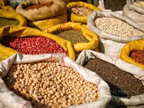 The production of pulses contributes 20% to the total agriculture production of Nepal. Pulses (especially lentils, peas and beans) form the core of the thick stew, also known as Dal, that makes an important part of the Nepali cuisine and diet.