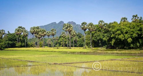 Its fantastic surrounding landscape made of steep limestone escarpments and luminous paddy fields makes Hpa-an region a must-see destination in Myanmar.