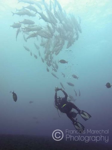 Photo of myself taking a photograph of a school of bigeye trevallies near Tulamben.