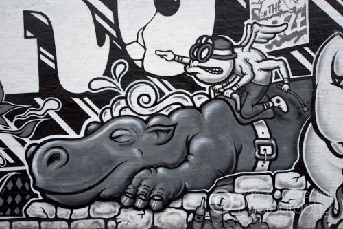 Young Street. Fitzroy, Australia.