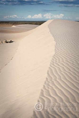 Lake Mungo N.P. (NSW)