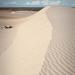 Lake Mungo N.P. (NSW)