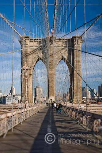 New York, USA.