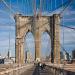 New York, USA.