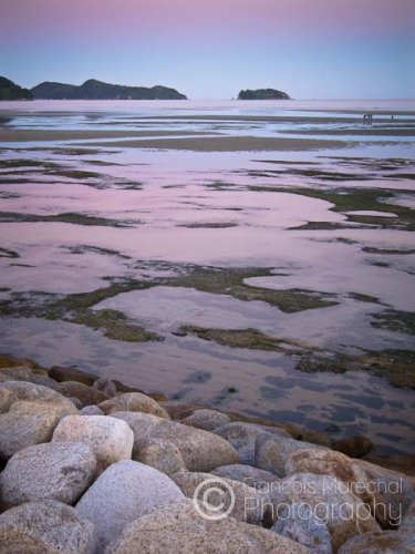 Pools of water in flat Sandy Bay reflect the sky twilight colors.