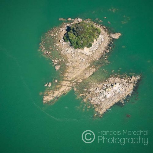 Pinnacle Island sits in the calm waters of Bark Bay. It is not rare when kayaking around the island to see fur seals basking on the rocks.