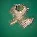 Pinnacle Island sits in the calm waters of Bark Bay. It is not rare when kayaking around the island to see fur seals basking on the rocks.
