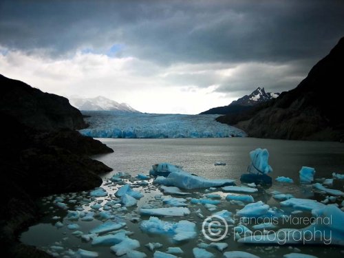 The turquoise icebergs floating on the lake were once part of the gigantic glacier.