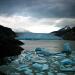 The turquoise icebergs floating on the lake were once part of the gigantic glacier.