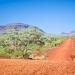 If you are after a dusty experience, just hop on a 4x4 and drive through the Australian outback. If you are lucky, you will get the flies for free.
