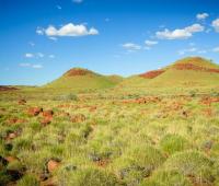 pilbara