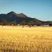 Stirling Range N.P. (WA)